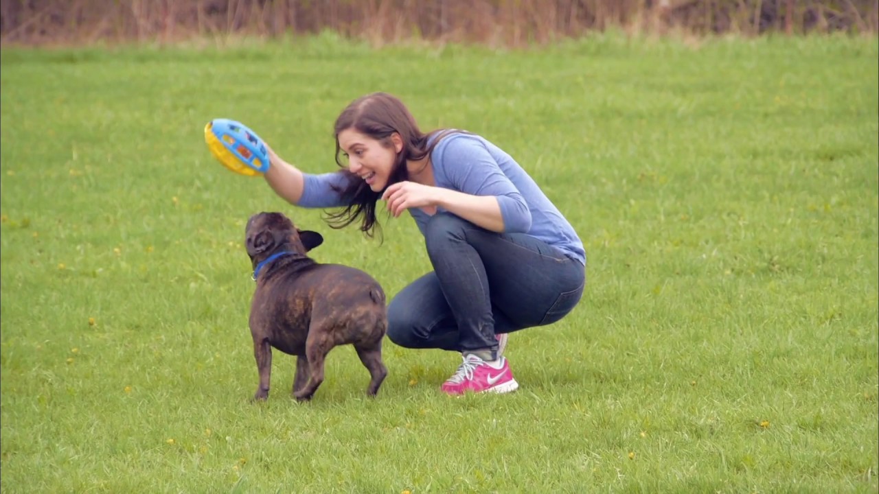 Working with ReelPaws