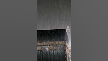 ترتيل مميز من أروع تلاوات القارئ رعد الكردي سورة يونس #راحة_نفسية #قرأن_كريم