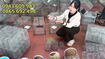 ❤️💥 LỒNG CHUỘT ĐƯỜNG MÒN, CỐNG NHUM, SÓC ĐẤT, TẶNG LÒ XO, CÓ BẢO HÀNH 