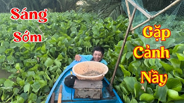 Thả Câu Cá Dồ Một Ngày Không Mai Lặn Mò Liên Tiếp /Định Nguyễn Hậu Giang