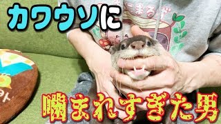 動物紹介をヘタクソがやるとこうなる・・・