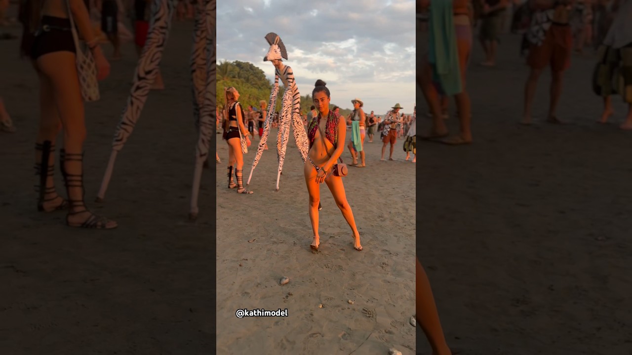 Music Festival Vibes