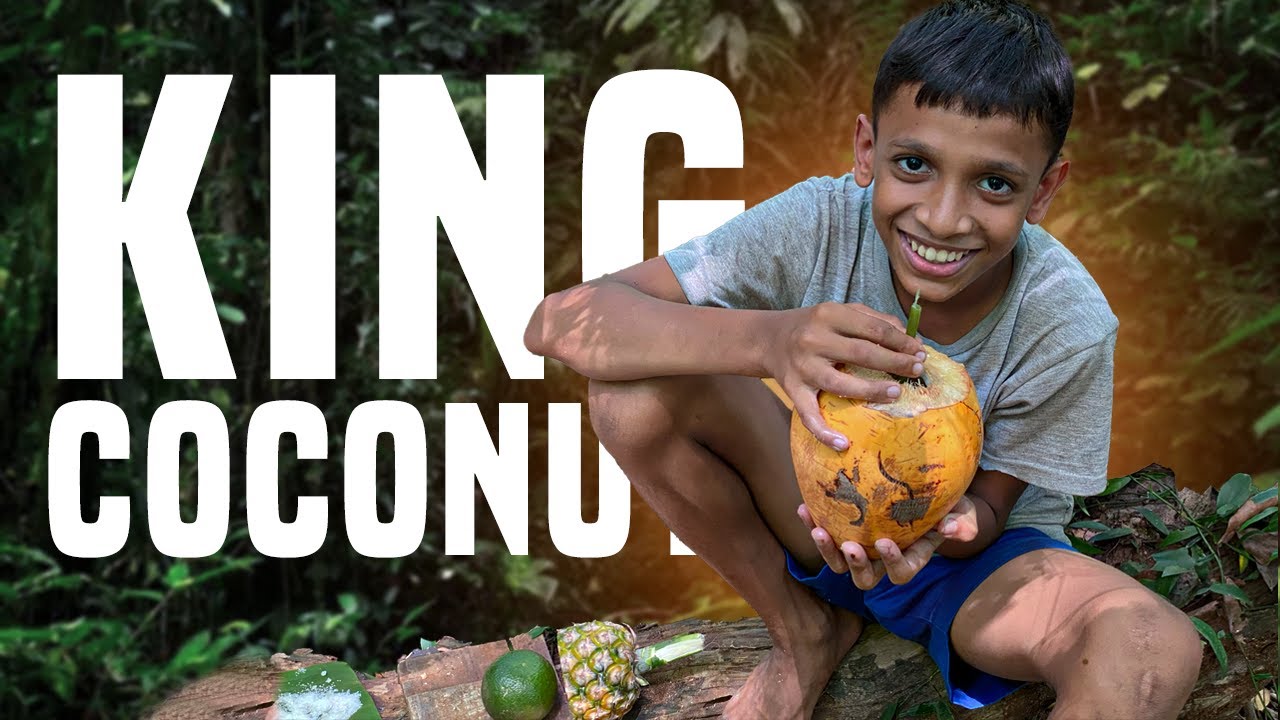 NATURAL JUICE | Red Tender Coconut | Healthy Juice Making in Forest | Summer Health Drinks
