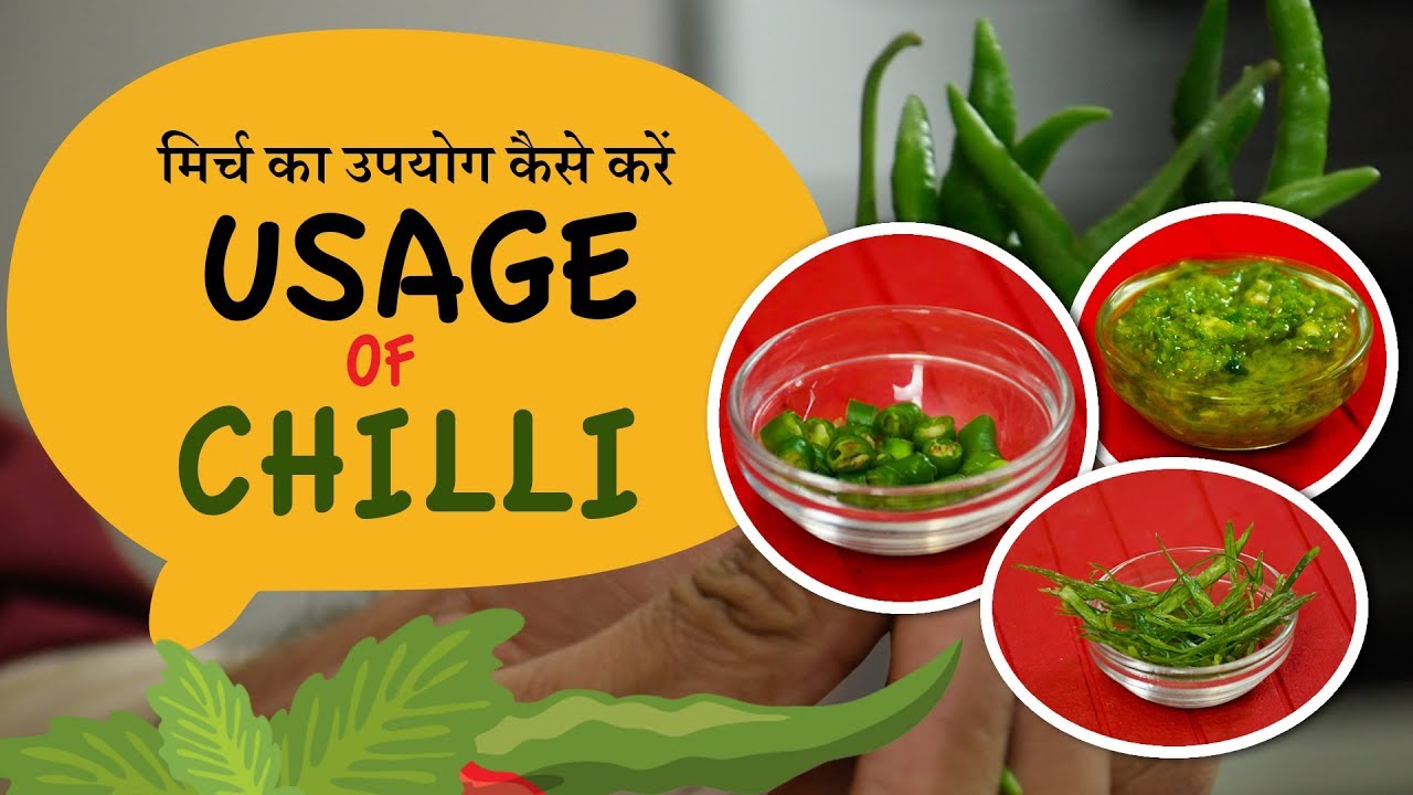 Usage of green chilli| Basics of Indian food | Learn Cooking | Chef Harpal Singh Sokhi | chefharpalsingh