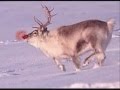 Run Run Rudolph_mpeg4.mp4