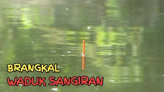 Spot BRANGKAL Ikan Gemuk Gemuk | Waduk SANGIRAN