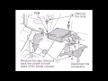 2000 Honda Accord Powertrain Computer Module removed (PCM/ECU/ECM)