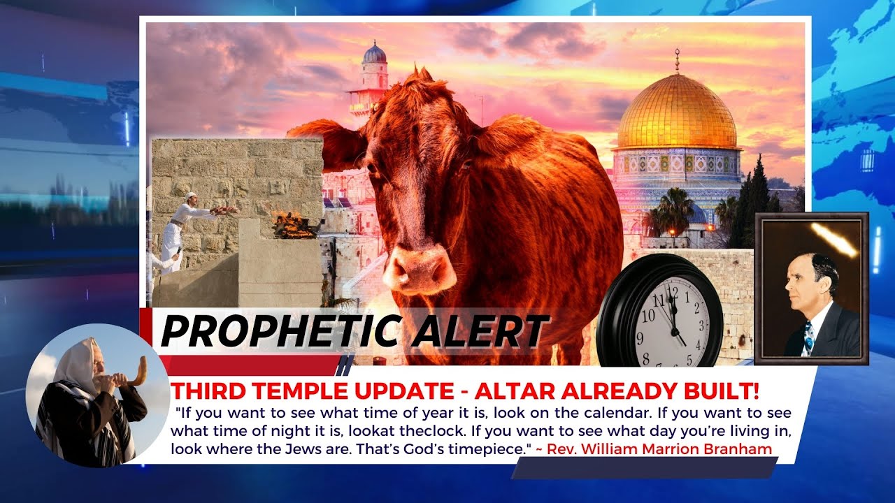 The Altar Is Built & The Priests Are Ready For Red Heifer Sacrifice In Israel (Third Temple Upda