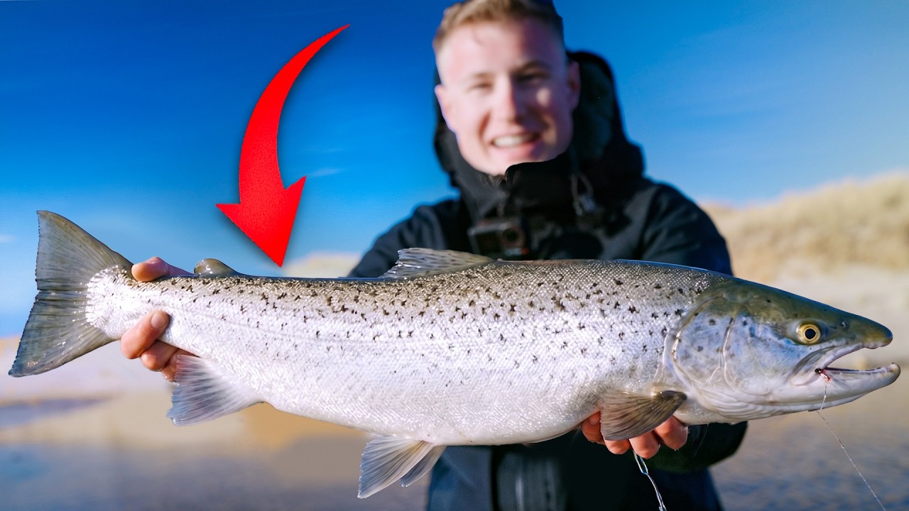 OSTSEEGIGANT auf einsamer Insel gefangen!