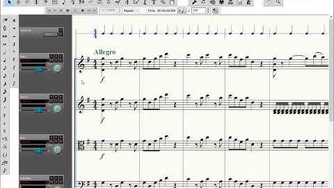 Navigating the Software - Page, Scroll & Studio View