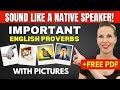 Learn 10 english proverbs you should know with pictures  quiz  free pdf