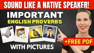 LEARN 10 English PROVERBS You Should Know! (With Pictures + Quiz + Free PDF) by JForrest English 12,368 views 2 weeks ago 19 minutes