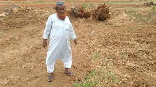 Borewell hole point divining using neem stick.9880988831