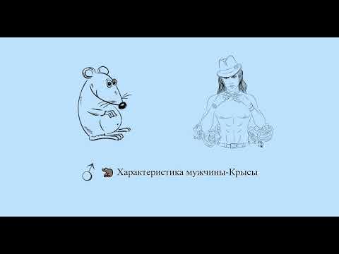 Характеристика мужчины Крысы 