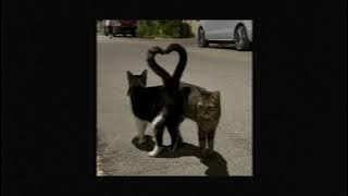 Download lagu Cartoon - On & On (sped up)