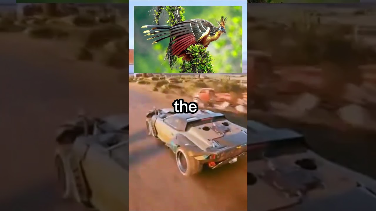 7 Incredible Animals that Have Special Environmental Adaptations 