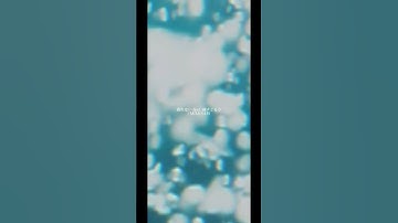 TVアニメ『#ひきこまり吸血姫の悶々』ED「眠れない feat.楠木ともり」配信中 #アニソン #animesong #作詞作曲 #楠木ともり #アニメ
