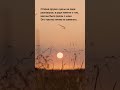 Афоризмы о жизни, одиночестве и свободе | Короткие философские размышления | Alex Lindenberg