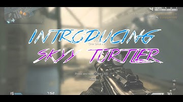 Introducing Skyy Turtler | by Skyy Diaminer | Multi-CoD
