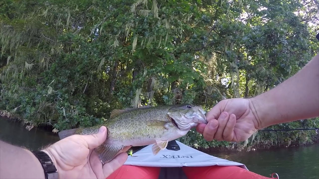 Intex Excursion Pro Smallmouth Fish On 6.3.2019