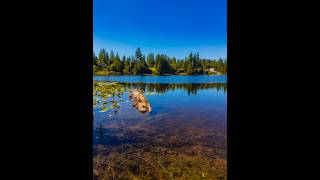 Lake Desire in 4K HDR Vertical for Tablets & iPads | Real Nature Sounds & Peaceful Summer Escape screenshot 4