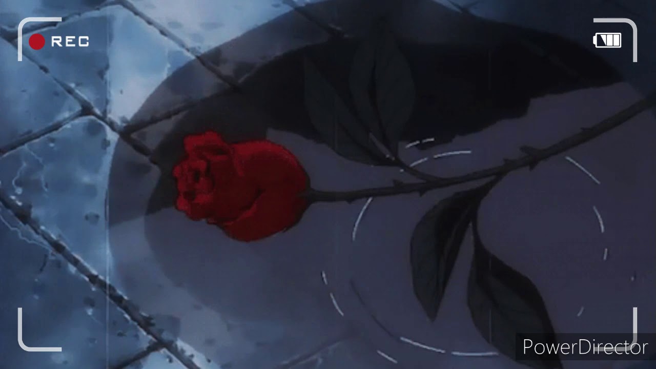 Forever Young - Blackpink instrumental(very)slowed down