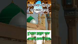 জন্ম আমার নবীর যুগে হলে কেমন হতো naat new art  madina