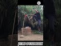 Jump Push Kick//#muaythaifighter #jumpkick #viralreels #trendingreels #reels