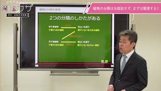 理科・知識思考_01 暗記するもの・しないものを整理して効率的な覚え方を学ぼう！【植物の分類を整理】 双子葉・単子葉・有はい乳・無はい乳…どう整理する？