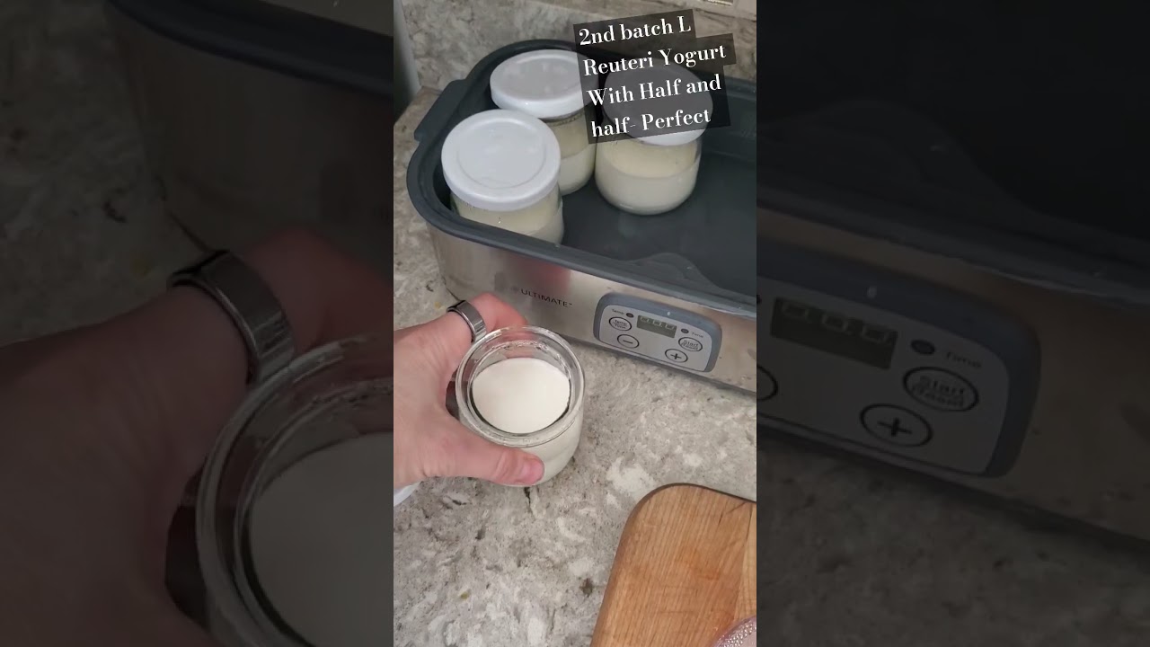 L Reuteri Homemade Yogurt With Half And Half Second Batch !