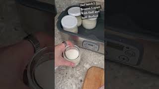 Celebrity L Reuteri Homemade Yogurt With Half And Half Second Batch ! Profile