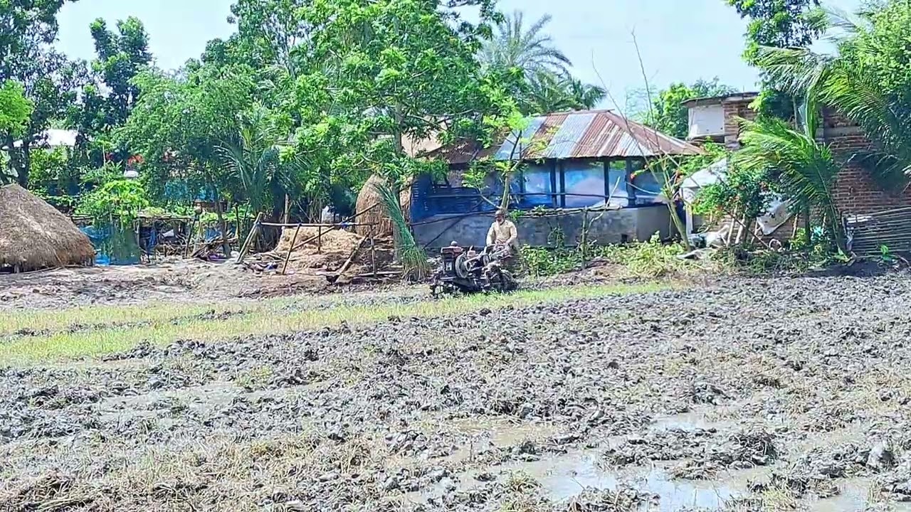 Power Tiller Farming Work in Rural Area | Comedy Vision