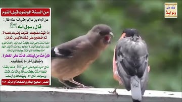 تلاوة مؤثرة من سورة هود بإبداع فضيلة الشيخ سعود الشريم.holy quran