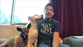Tino Sanchez Treats His Dogs' Lymphoma with Cannabis Oil