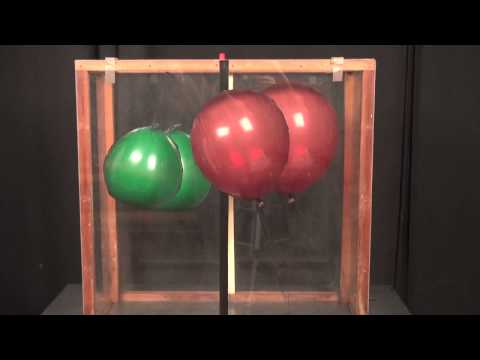 فيديو: ما الذي يجعل البالونات تطفو؟