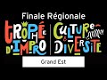 Finale rgionale  grand est  trophe dimpro culture  diversit