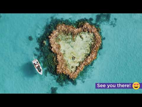 Inside Brand New Heart Island Youtube