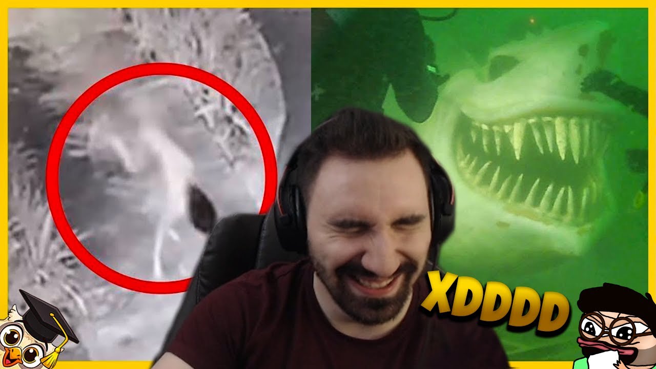 TE FILMY MIAŁY STRASZYĆ A ŚMIESZĄ NICZYM DURNE KOMEDIE XD