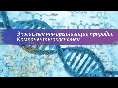 Биология 9 класс Пасечник Экосистемная организация природы. Компоненты экосистем