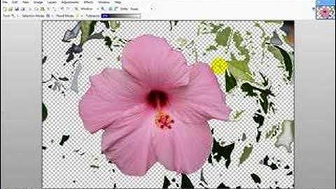 Paint.NET Basics - Removing background in Paint .NET