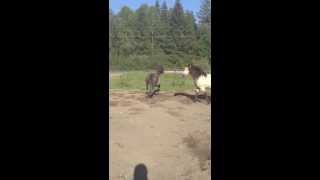 IMG 5358