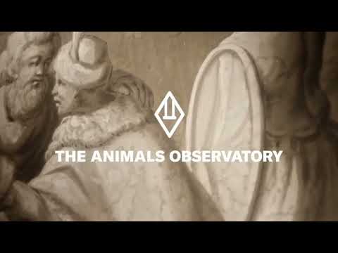 The Animals Observatory Autumn Winter 2023 Collection Is Now Online!