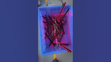 Outdoor High-Brightness LED Mesh Screen – An "Invisible Screen" to Light Up the City.