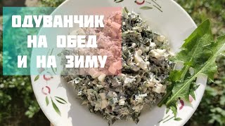Рецепты из одуванчиков. Салат из свежих листьев и каперсы для заготовки на зиму.