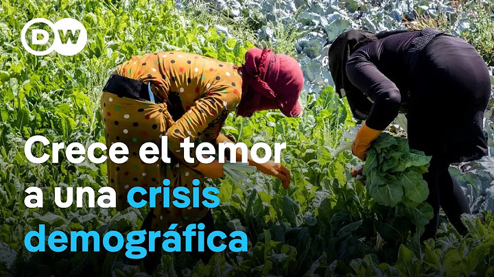 Algunas ciudades necesitan a los inmigrantes para crecer, pero las políticas de Trump se lo impiden