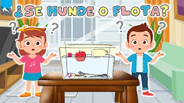 ¿Cómo explicar la flotación a los niños?