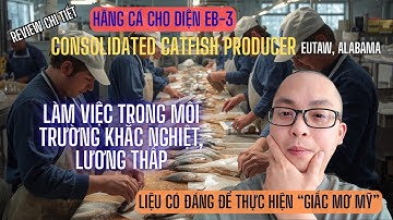 REVIEW HÃNG CÁ EB-3: CONSOLIDATED CATFISH ở Eutaw Alabama. Giấc Mơ Mỹ Bắt Đầu Từ Đây!