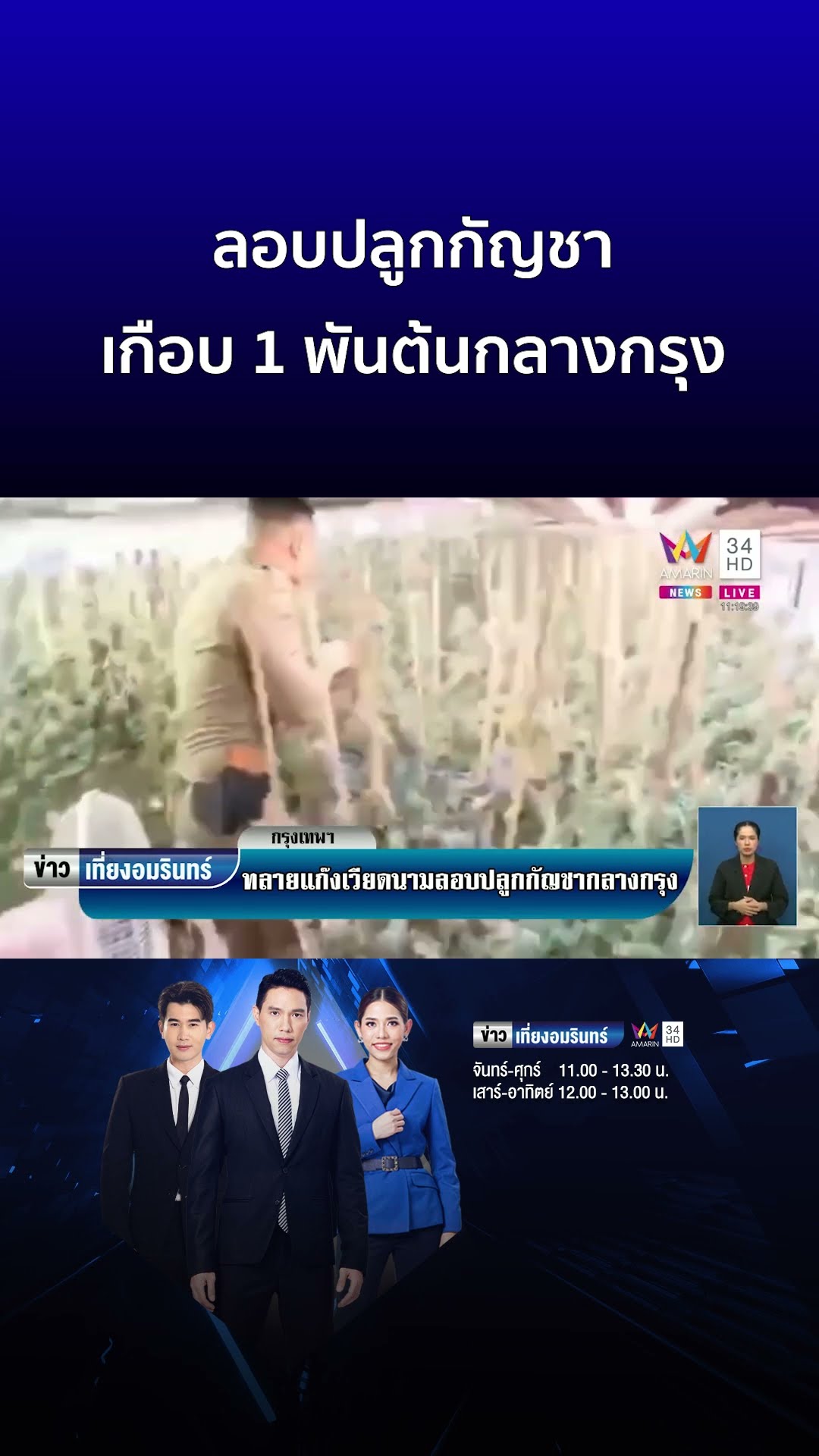 บุกทลายแก๊งเวียดนาม ลอบปลูกกัญชาเกือบ 1 พันต้นกลางกรุง | ข่าวเที่ยงอมรินทร์