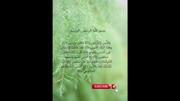 095   #سورة التين #CHEIKH AZIZ  ALILI #Surah At-Tin  #  تلاوة خاشعة# قرآن