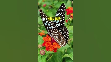 A Prayer for Our Nation